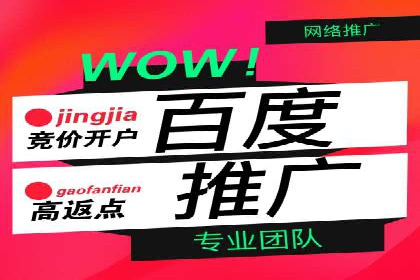 成功案例：SEM推广竞价代运营助力企业转型
